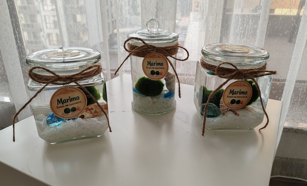 Marimo Топче на щастието