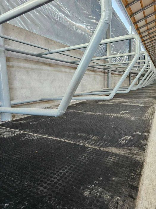 Сигирлар оёқ остига резиновый мат