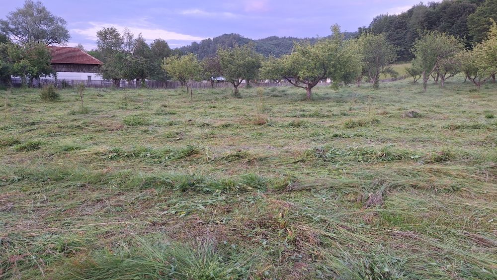 Cosesc defrisez iarba cu motocoasa