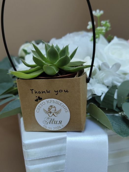 Сукуленти в специална чантичка