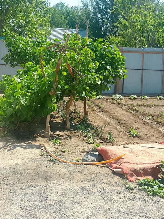 Продам  Дома район  Арай
