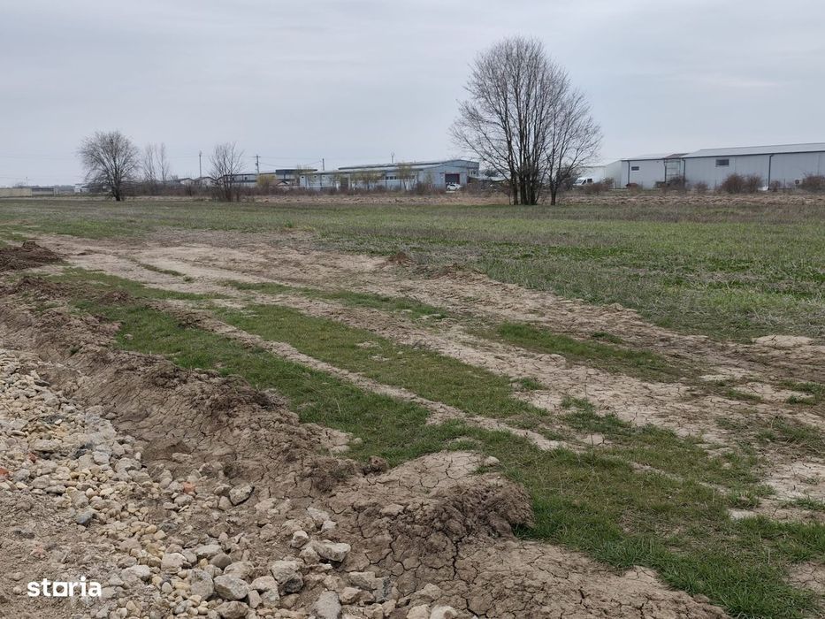 Fara Comisioane Loturi Teren Constructii Hale In Zona De Hale Merita V