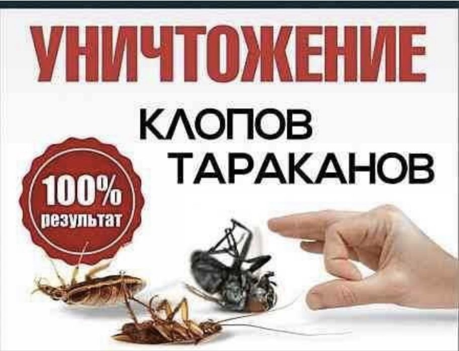 Дезинфекция . Дезинсекция . Дератизация гарантия