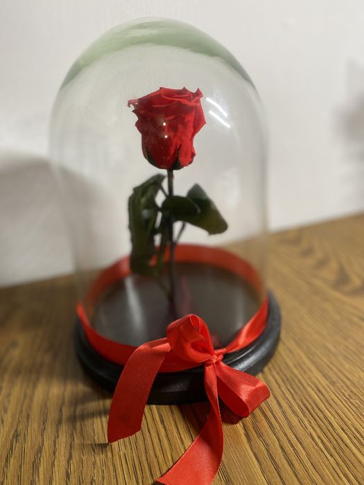 Trandafir criogenizat