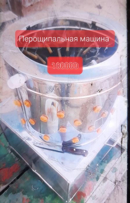 Продам перощипальную машину автомат