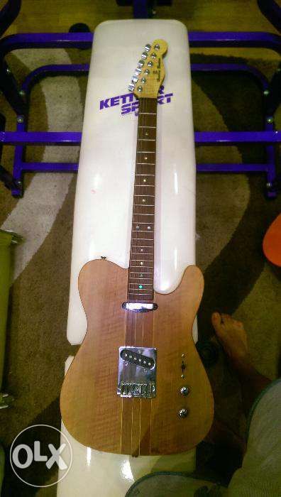 Chitara rece si electrica vioara acordeon