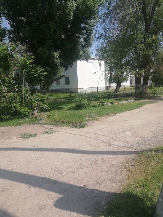 Sirdaryo tumani. Sholikor MFY. Maktab yonida.