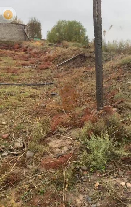 Зангиота тумани Нуробод МФЙ да  3.8 сотих ер сотилади