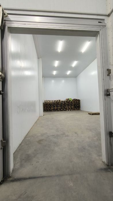 Arendaga sovtish kameralar berilabi