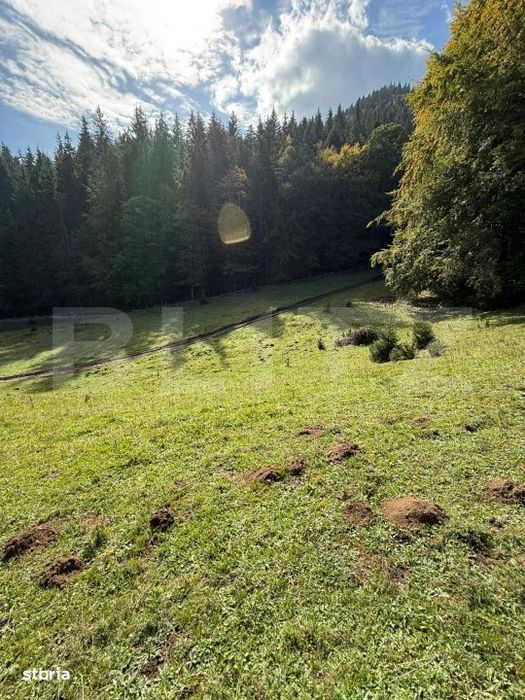 Teren intravilan 28 Ari zona Colibita