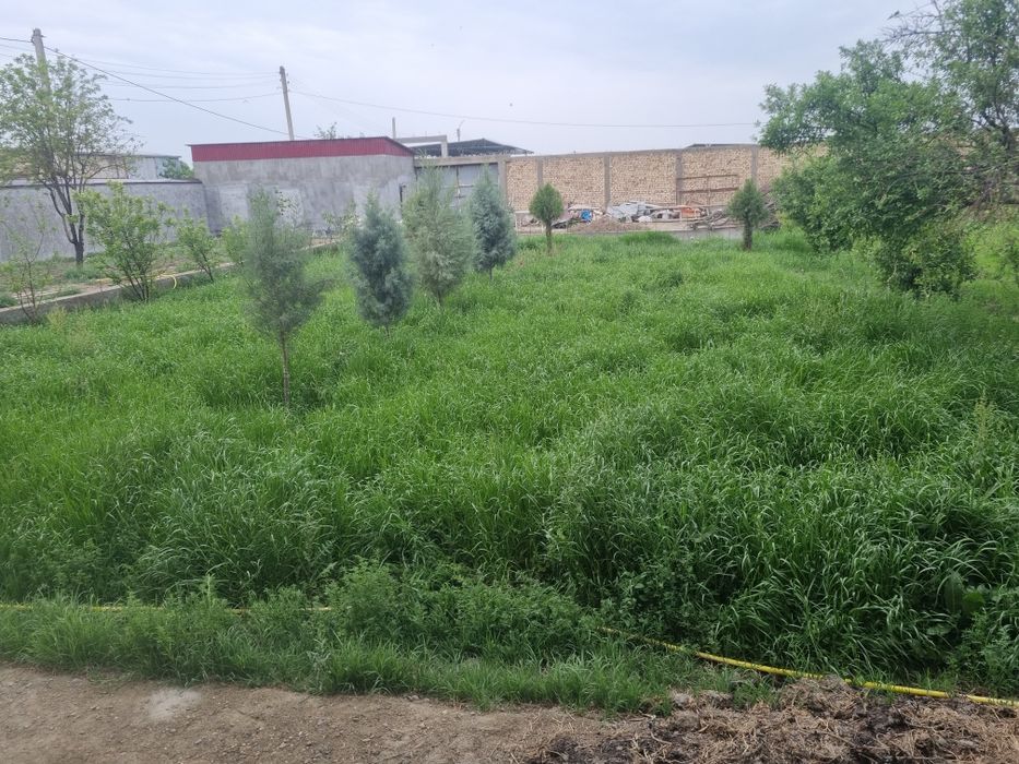 20 соткда беда ут буда сотилади