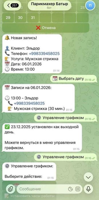 Разработка от 1 дня Teleg-ботов с AI, Сайты, автоматизация для бизнеса