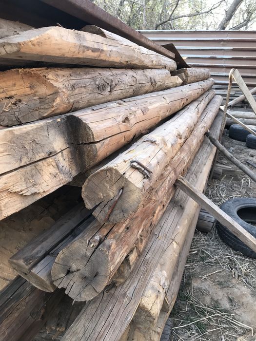 Кругляк лес