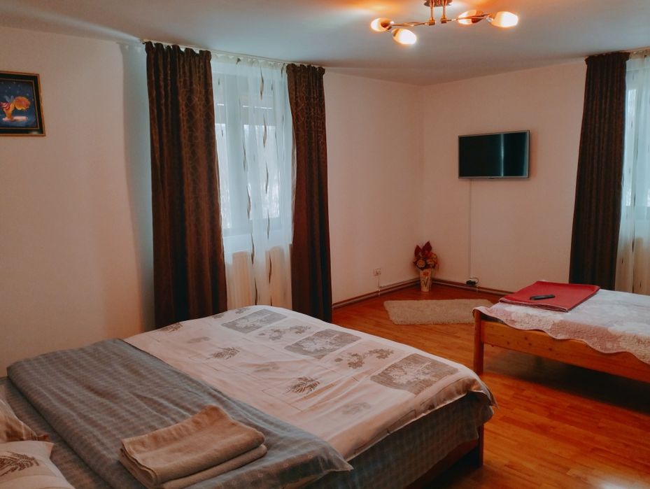 Cabană Valea  Dejani!Liber de revelion!