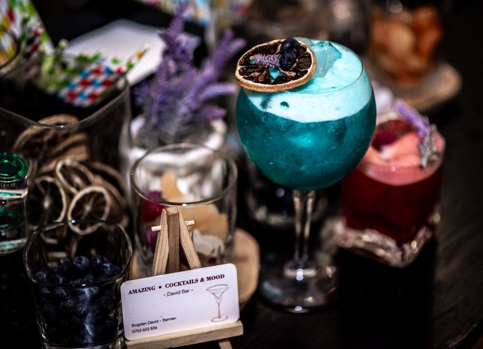 Bar mobil/ Cocktail bar