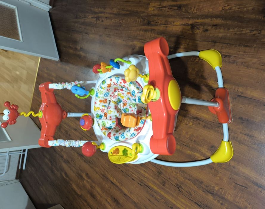 Бънджи Виста Мони