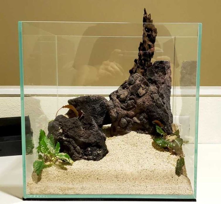 ACVARII  la comandă la cele mai  bune prețuri ! Comanda acum !