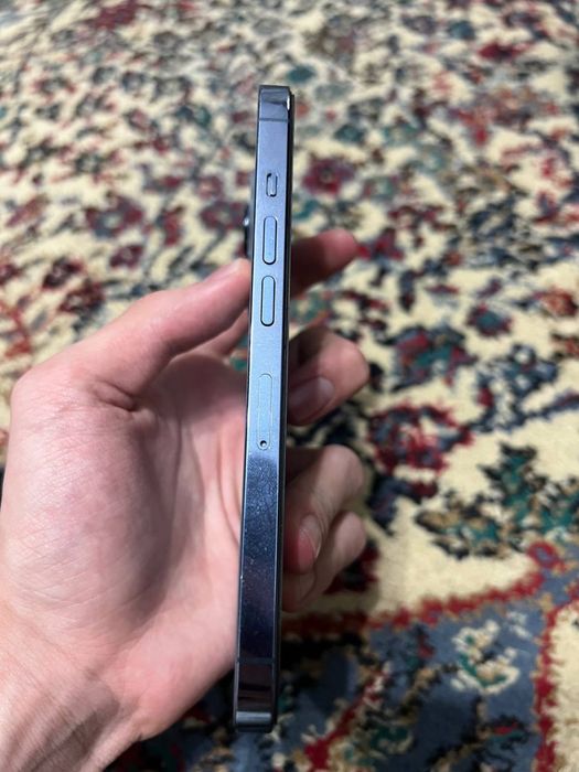 Iphone 13 pro кичкина доги бор