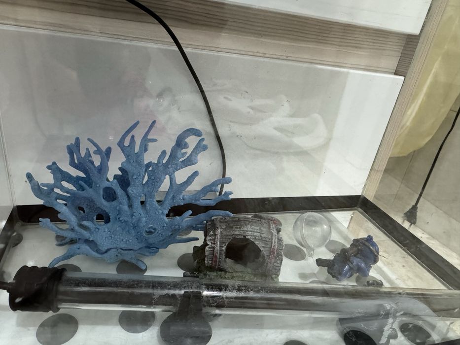 Продам аквариум с декором