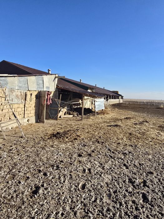 Фазенда мал шаруашылығына