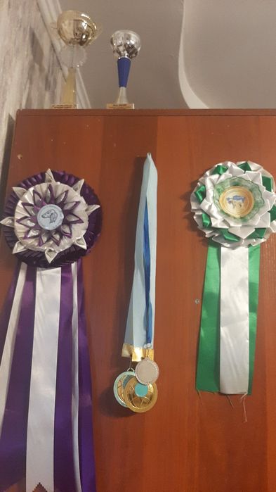 Щенки в надёжные руки