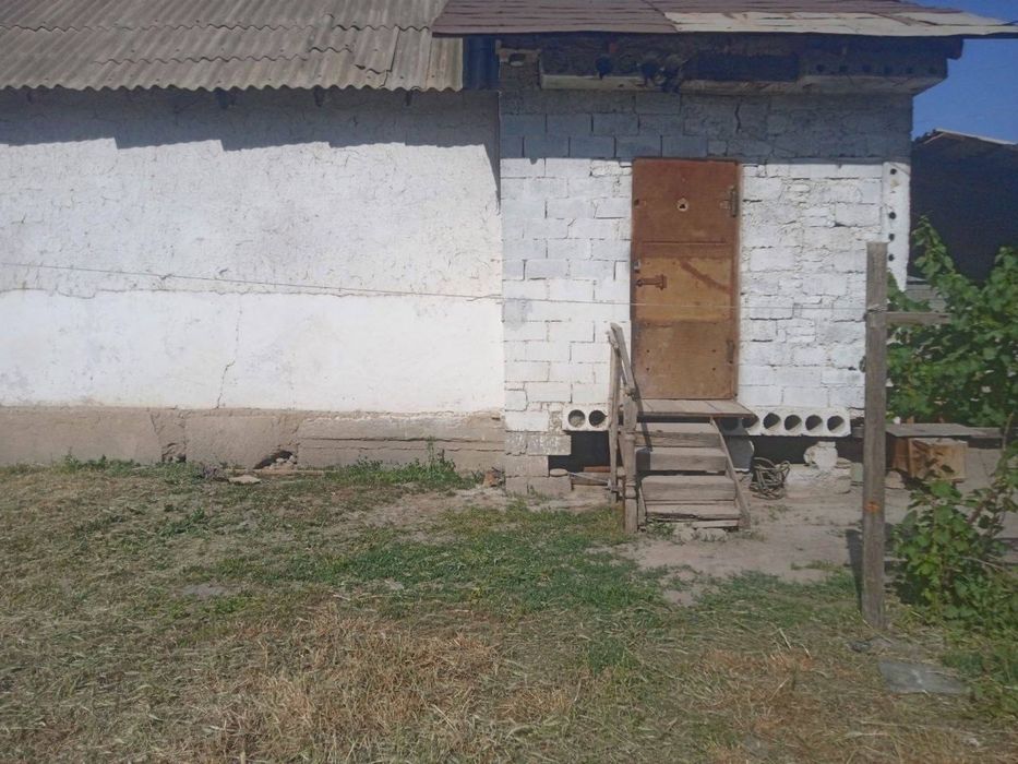Занги отада дала ховли сотилади