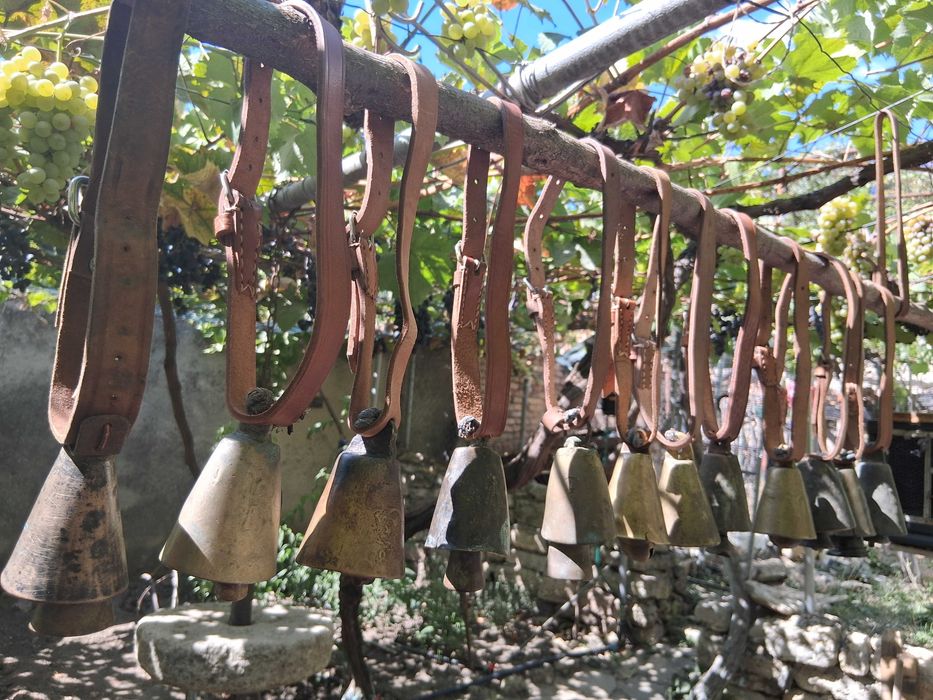 Звънци, Чан, Чанове