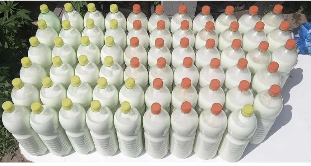 Кымыз Шубат 500 оптом