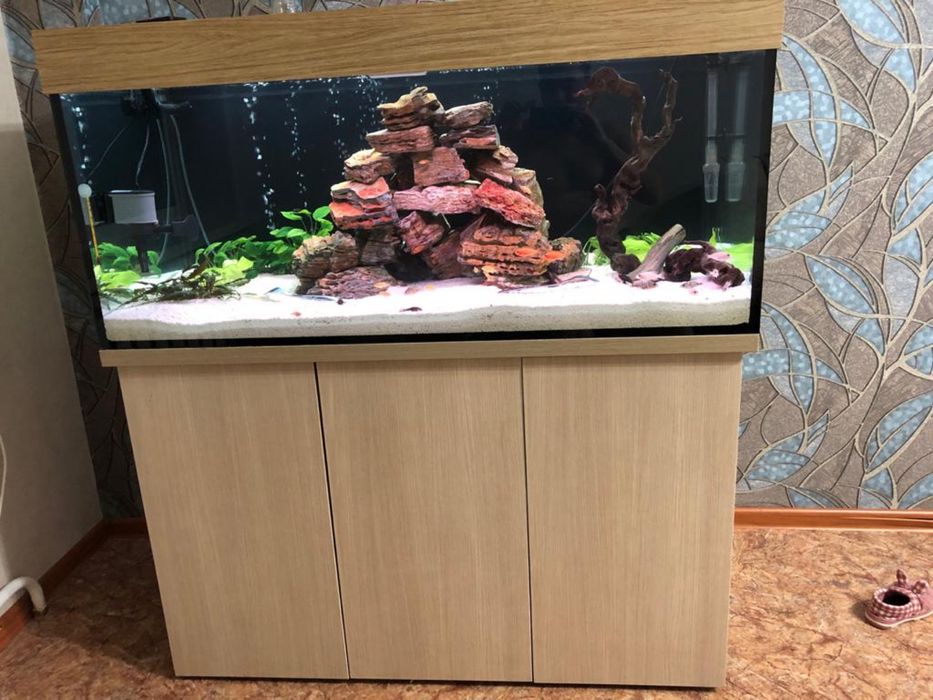 Аквариумы эксклюзив под заказ