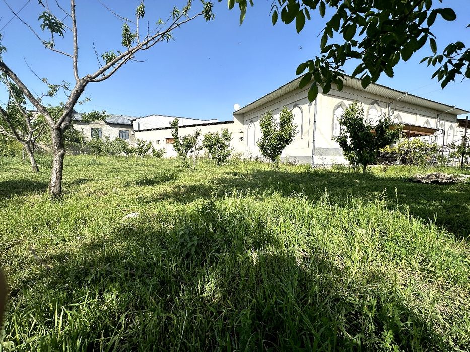 Hovli sotiladi! Nazarbek, Pushkinda. Ховли сотилади! Назарбек, Пушкин