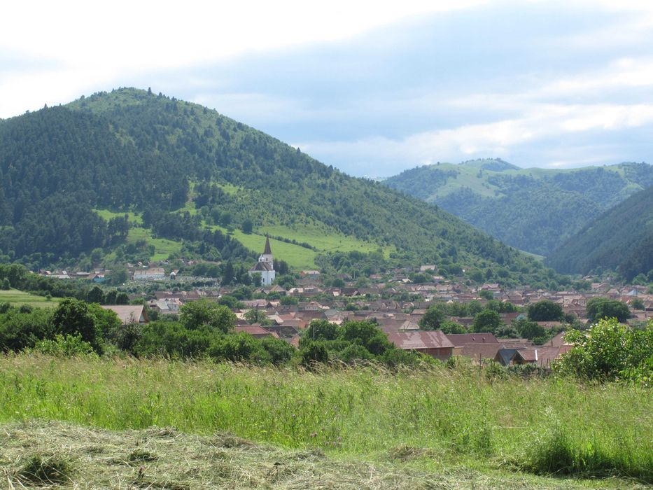 Rasinari Teren superb vedere munti