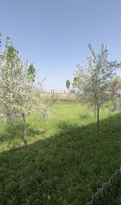 Yer sotiladi, toshkent shaxar, 4 so’tiq faqat sotiladi