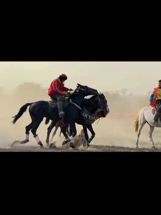 Айгыр сатылады..