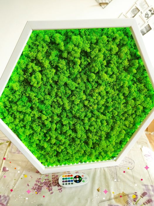 Пано от скандинавски мъх с LED осветление