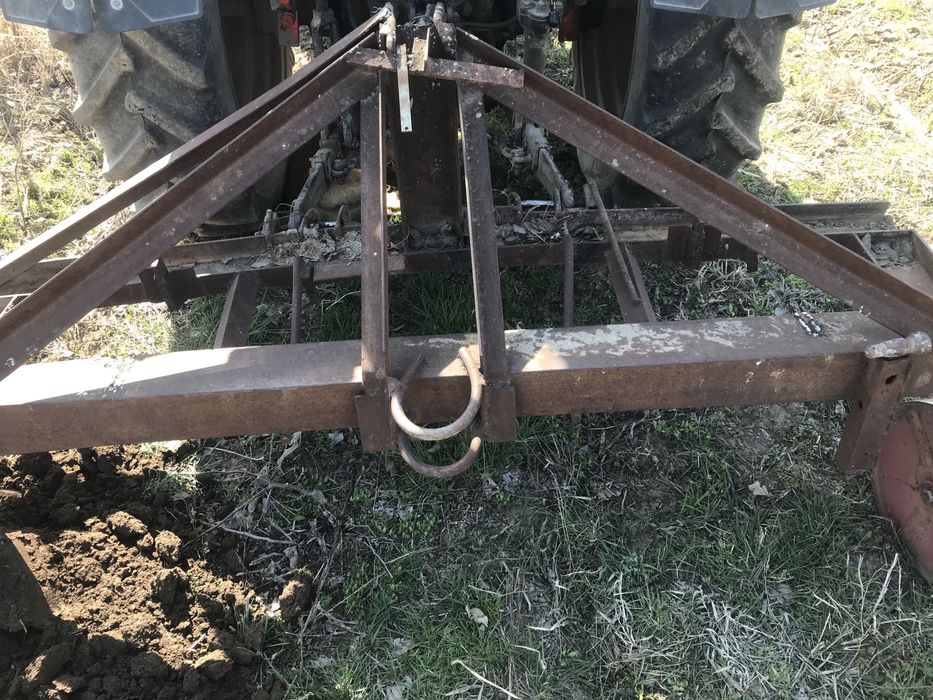 Садовый баковой арешник