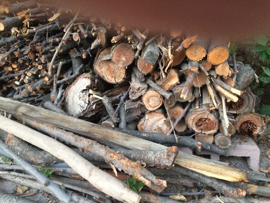 продам дрова пиленые яблоня абрикос цена за все 1000т. самовывоз