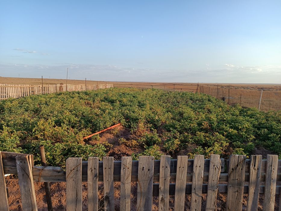 Сельское хозяйство