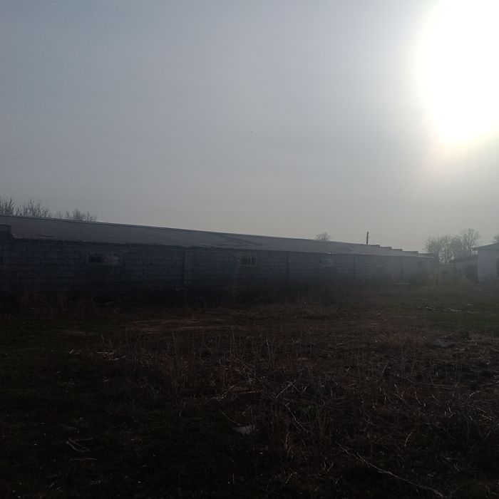 Продам базу для откорма скота