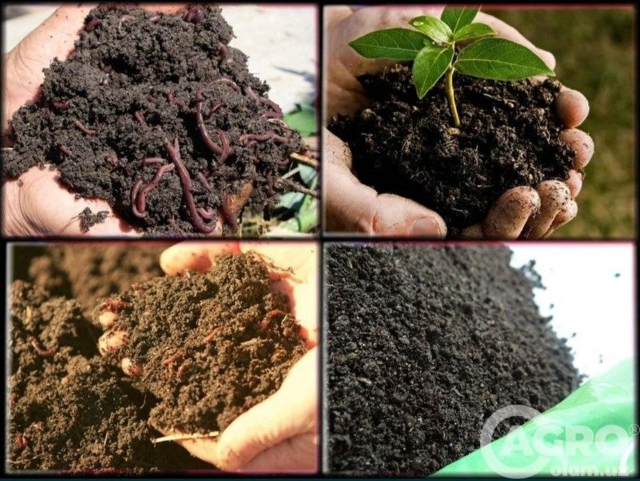 Ooo. Biogomes agroservis.mahsultlar