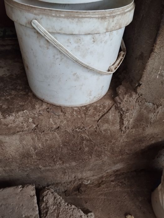 Сотилади сабзи пучоги молга еки бошка хайвонларга( 1 коп булади )