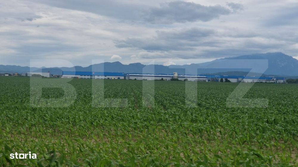 Teren extravilan posibilitate de a trece in intravilan zona de case NO
