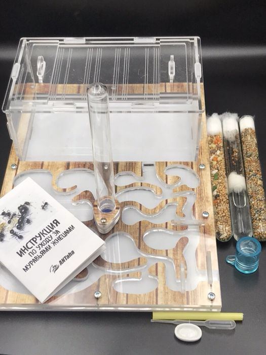 Муравьиная Ферма , муравьи в ПОДАРОК ! Алматы .