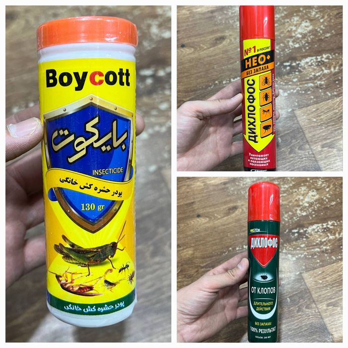 Таракан дори Америка (оригинал), клапа дори хам бор