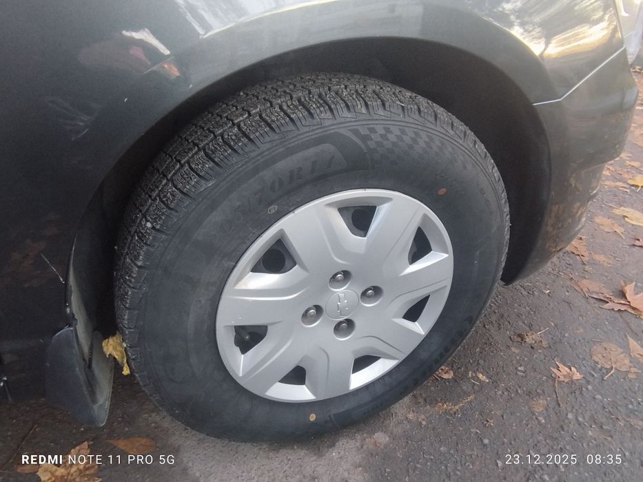 2022/2023 краска тозза