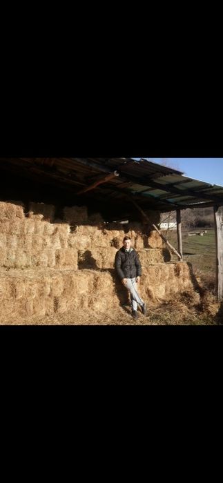 Baloti Rotunzi Lucerna min.40.sau fan.Drept.min.500.Transport>RO UE

B