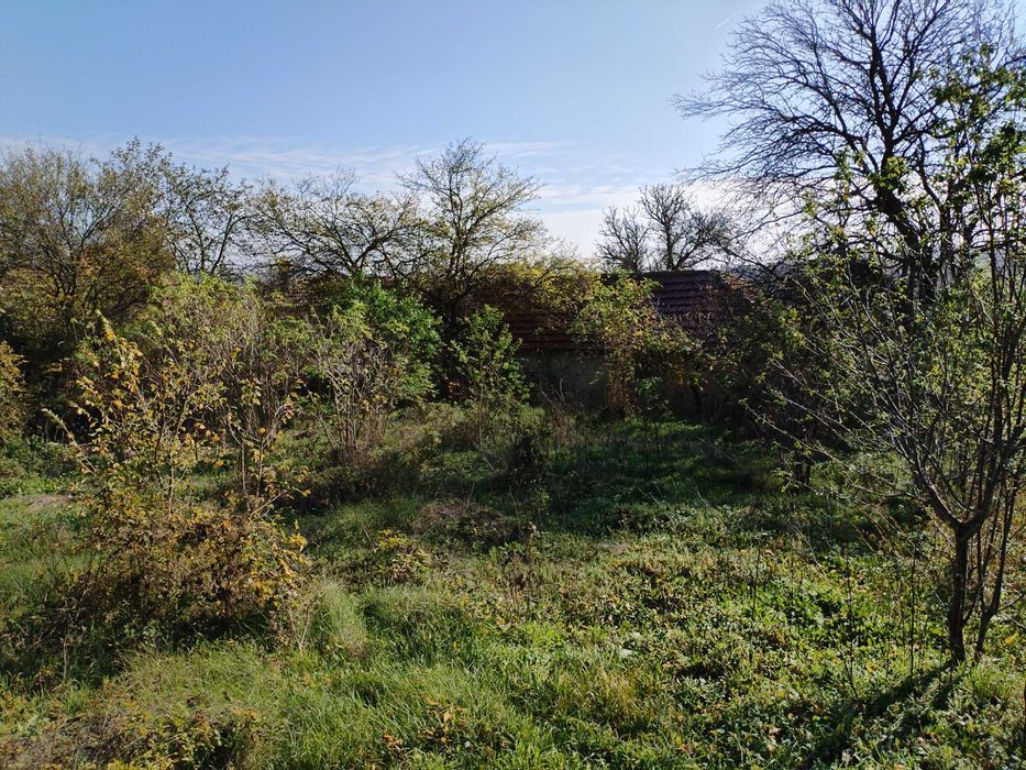 Имот с къща в С. Ягнило, Варна 30 000 Евро