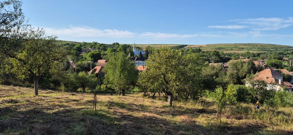 Vind casa Filea de Jos , teren suprafata 1800mp