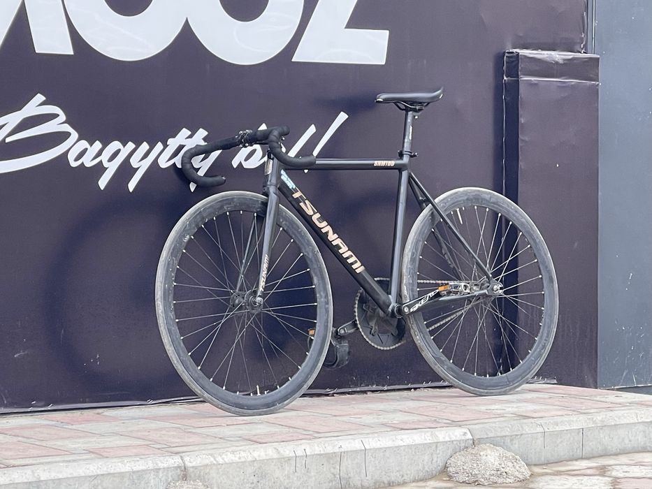 Фикс Tsunami snm 100