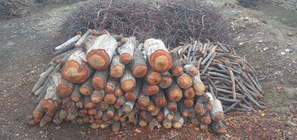 майдаланган утин сотилади