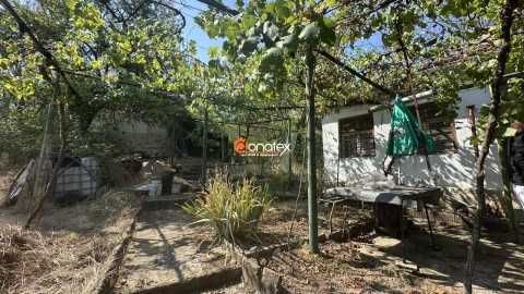 Продава едноетажна къща 60 кв.м с двор 1171 кв.м, в село Михилци